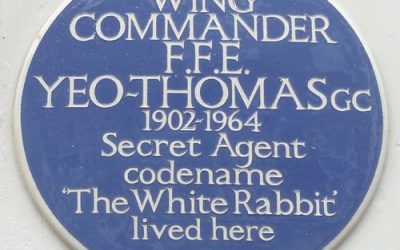 The White Rabbit