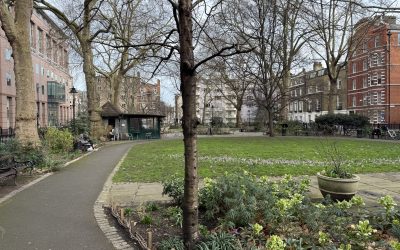 Red Lion Square Gardens
